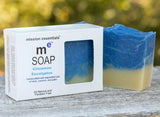 Handcrafted Soaps- Cinnamon Eucalyptus - Buy 4 and save! - Mission Essentials